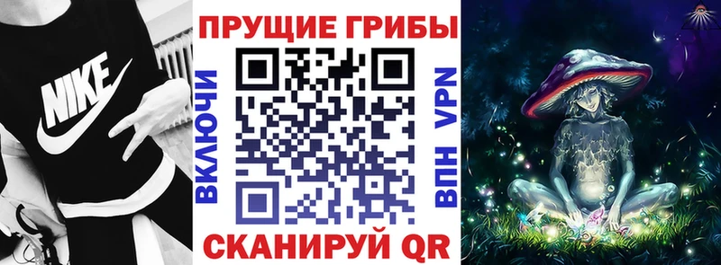 Галлюциногенные грибы Psilocybine cubensis Кировск